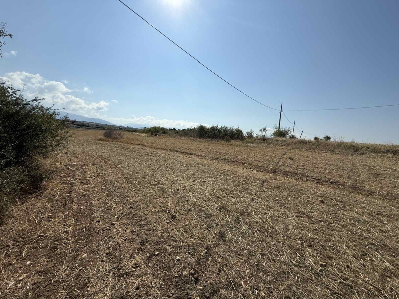Продава ПАРЦЕЛ, област Благоевград, с. Дъбрава • 94140 € • 51426660 1 — Holmes.bg Продава ПАРЦЕЛ, област Благоевград, с. Дъбрава • 94140 € • 51426660 1