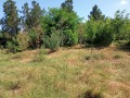 Продава Парцел област Добрич , с. Стожер , 1975 кв.м | 59137630 — Imoti.com Продава Парцел област Добрич , с. Стожер , 1975 кв.м | 59137630