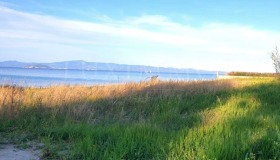 ПАРЦЕЛ, 5 000 m2 - Holmes.bg ПАРЦЕЛ, 5 000 m2