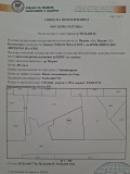 Продава Парцел област Благоевград , гр. Петрич , 451 кв.м | 30619025 — Imoti.com Продава Парцел област Благоевград , гр. Петрич , 451 кв.м | 30619025