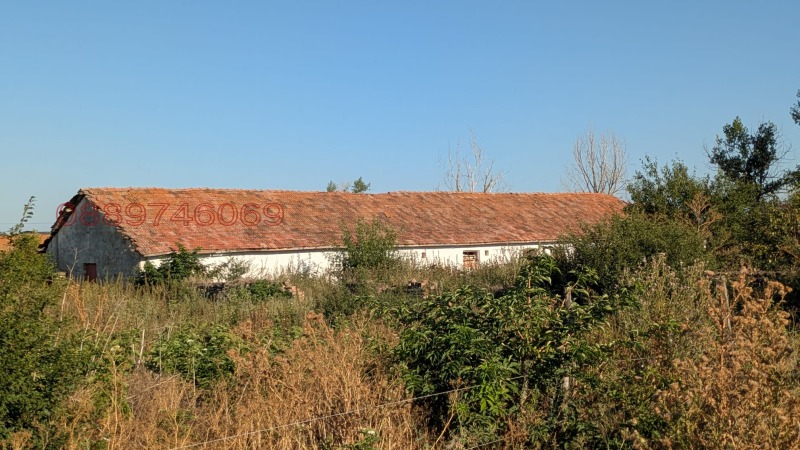 Продава СКЛАД, област Разград, с. Гороцвет • 35000 € • 96582089 1 — Holmes.bg Продава СКЛАД, област Разград, с. Гороцвет • 35000 € • 96582089 1