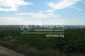 Продава ПАРЦЕЛ, област Варна, с. Болярци • 110000 € / 215141.30 лв. • 79776649 2 — Holmes.bg Продава ПАРЦЕЛ, област Варна, с. Болярци • 110000 € / 215141.30 лв. • 79776649 2