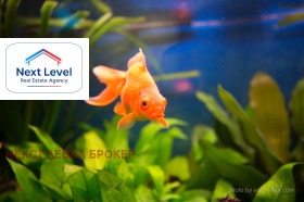 Снимка Продава БИЗНЕС ИМОТ