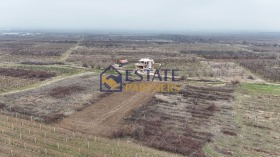 Продава Парцел, с. Браниполе