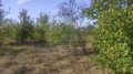 Продава ЗЕМЕДЕЛСКА ЗЕМЯ, с. Браниполе, област Пловдив, снимка 2 — Bazar.bg Продава ЗЕМЕДЕЛСКА ЗЕМЯ, с. Браниполе, област Пловдив, снимка 2