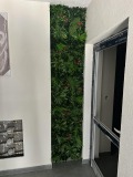 Продава 3-СТАЕН, град Кърджали, Възрожденци • 99900 € • 75935182 15 — Holmes.bg Продава 3-СТАЕН, град Кърджали, Възрожденци • 99900 € • 75935182 15