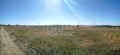 Продава Парцел град Бургас , с. Маринка , 3280 кв.м | 25963765 — Imoti.com Продава Парцел град Бургас , с. Маринка , 3280 кв.м | 25963765