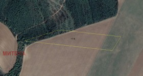 Продажба на земеделски земи в област Русе - изображение 9 