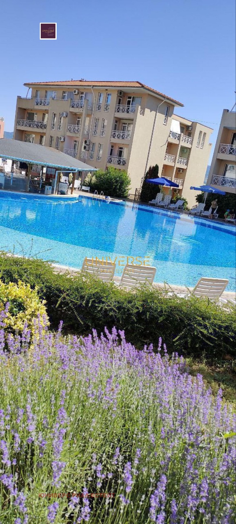 Продава 1-СТАЕН, област Бургас, к.к. Слънчев бряг • 53000 € • 59598624 1 — Holmes.bg Продава 1-СТАЕН, област Бургас, к.к. Слънчев бряг • 53000 € • 59598624 1