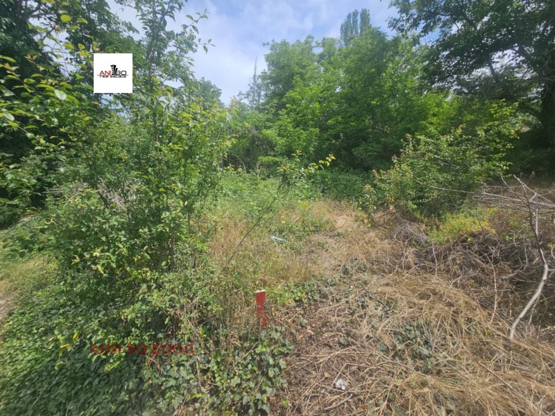 Продава ПАРЦЕЛ, град Варна, Изгрев • 69000 € / 134952.27 лв. • 86637880 1 — Holmes.bg Продава ПАРЦЕЛ, град Варна, Изгрев • 69000 € / 134952.27 лв. • 86637880 1