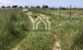 Продава ПАРЦЕЛ, Гърция, Халкидики • 120000 € / 234699.60 лв. • 58200334 9 — Holmes.bg Продава ПАРЦЕЛ, Гърция, Халкидики • 120000 € / 234699.60 лв. • 58200334 9