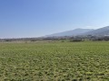 Продава ПАРЦЕЛ, област Пловдив, с. Марково • 84460 € / 165189.40 лв. • 85804265 5 — Holmes.bg Продава ПАРЦЕЛ, област Пловдив, с. Марково • 84460 € / 165189.40 лв. • 85804265 5