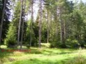 Обява Продава КЪЩА,с. Сираково, област Враца