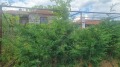 Продава КЪЩА, област Варна, с. Кичево • 186000 € / 363784.38 лв. • 69401480 7 — Holmes.bg Продава КЪЩА, област Варна, с. Кичево • 186000 € / 363784.38 лв. • 69401480 7