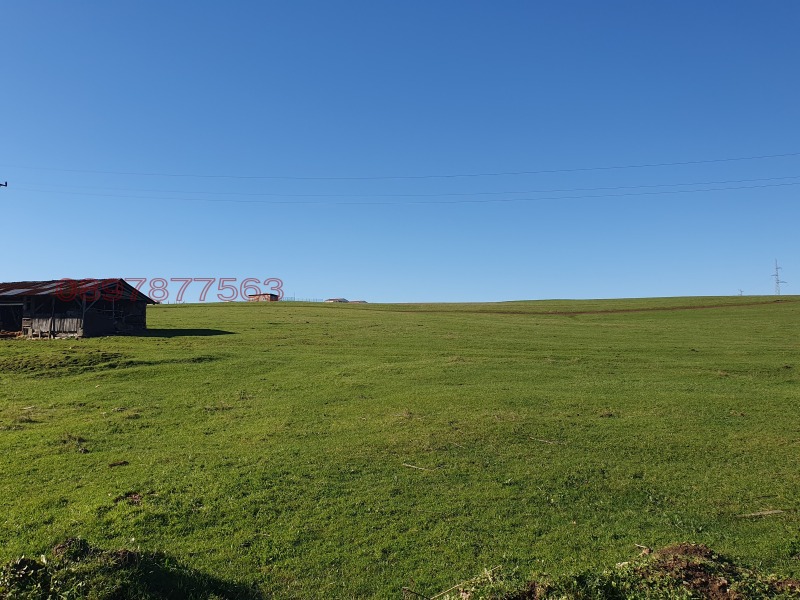 Продава Парцел област Бургас , с. Лозенец , 6702 кв.м | 44992471 — Imoti.com Продава Парцел област Бургас , с. Лозенец , 6702 кв.м | 44992471