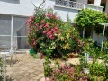 Продава КЪЩА, област Бургас, гр. Созопол • 528000 € / 1032678.24 лв. • 55621848 10 — Holmes.bg Продава КЪЩА, област Бургас, гр. Созопол • 528000 € / 1032678.24 лв. • 55621848 10