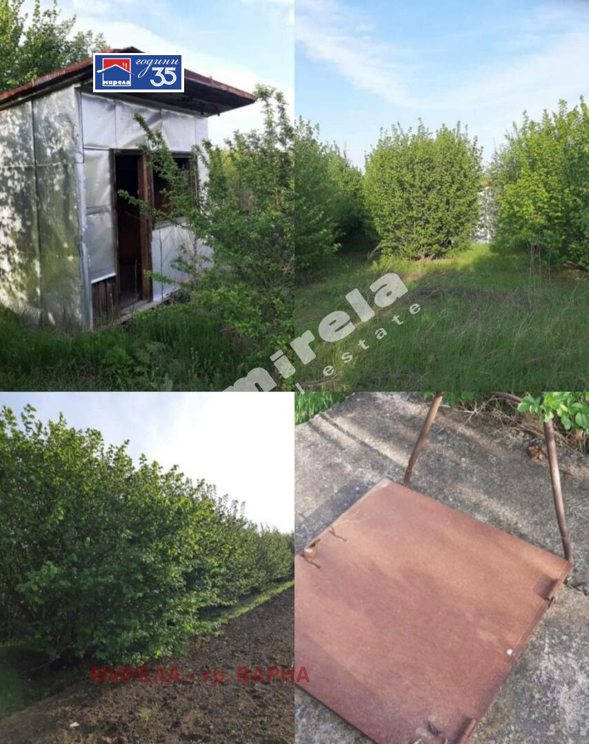 Продава Парцел област Добрич , с. Драганово , 5150 кв.м | 11660005 — Imoti.com Продава Парцел област Добрич , с. Драганово , 5150 кв.м | 11660005