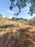 Продава ПАРЦЕЛ, област Варна, с. Неофит Рилски • 60000 € • 54484254 5 — Holmes.bg Продава ПАРЦЕЛ, област Варна, с. Неофит Рилски • 60000 € • 54484254 5