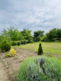Продава КЪЩА, област Монтана, гр. Лом • 77000 € / 150598.91 лв. • 18727943 14 — Holmes.bg Продава КЪЩА, област Монтана, гр. Лом • 77000 € / 150598.91 лв. • 18727943 14