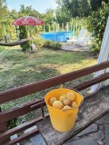 Продава КЪЩА, област Монтана, гр. Лом • 77000 € / 150598.91 лв. • 18727943 6 — Holmes.bg Продава КЪЩА, област Монтана, гр. Лом • 77000 € / 150598.91 лв. • 18727943 6
