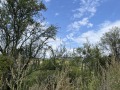Продава ПАРЦЕЛ, област Перник, с. Пещера • 15000 € • 46893620 6 — Holmes.bg Продава ПАРЦЕЛ, област Перник, с. Пещера • 15000 € • 46893620 6