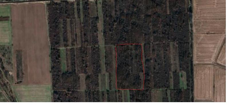 Продава  Земеделска земя област Пазарджик , с. Пищигово , 4.306 дка | 93103924