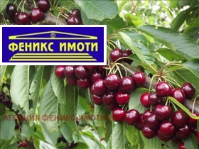 Продава Земеделска земя, с. Горна Гращица