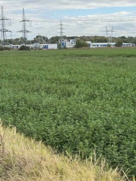 Продава ПАРЦЕЛ | Imot.bg — малка снимка 4