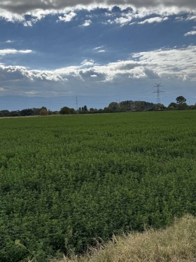 Продава ПАРЦЕЛ | Imot.bg — малка снимка 2