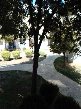 Продава 3-СТАЕН | Imot.bg — малка снимка 15