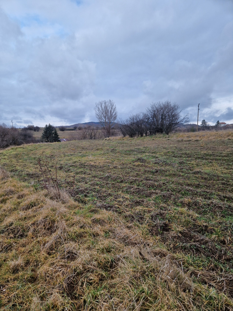 Продава ПАРЦЕЛ, област София, с. Златуша • 139000 € / 271860.37 лв. • 12864779 1 — Holmes.bg Продава ПАРЦЕЛ, област София, с. Златуша • 139000 € / 271860.37 лв. • 12864779 1