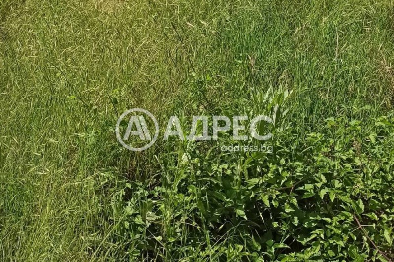 Продава ПАРЦЕЛ, град София, гр. Банкя • 260000 € • 94468932 1 — Holmes.bg Продава ПАРЦЕЛ, град София, гр. Банкя • 260000 € • 94468932 1