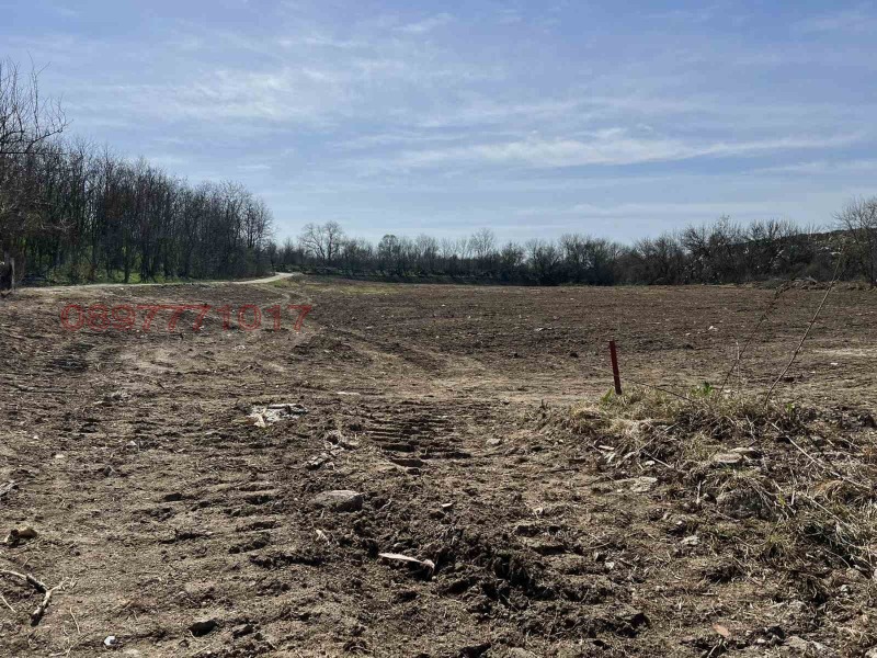 Продава ПАРЦЕЛ, област Пловдив, гр. Първомай • 60000 лв. / 30677.51 € • 31386471 1 — Holmes.bg Продава ПАРЦЕЛ, област Пловдив, гр. Първомай • 60000 лв. / 30677.51 € • 31386471 1