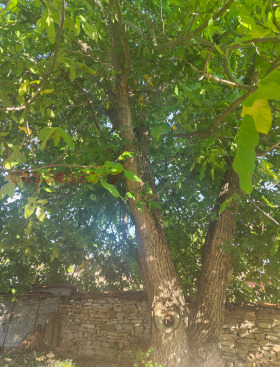 Продава КЪЩА | Imot.bg — малка снимка 2