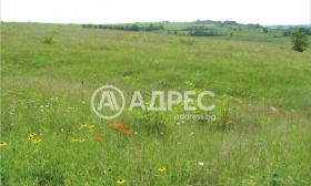 ПАРЦЕЛ, 1 448 m2 - Holmes.bg ПАРЦЕЛ, 1 448 m2