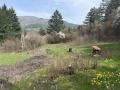 Продава ПАРЦЕЛ, област София, с. Реброво • 55000 € / 107570.65 лв. • 23797901 1 — Holmes.bg Продава ПАРЦЕЛ, област София, с. Реброво • 55000 € / 107570.65 лв. • 23797901 1