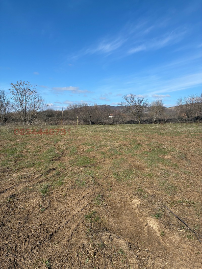 Продава ПАРЦЕЛ, област Стара Загора, с. Съединение • 11900 € • 26950090 1 — Holmes.bg Продава ПАРЦЕЛ, област Стара Загора, с. Съединение • 11900 € • 26950090 1