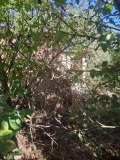 Продава КЪЩА, област Варна, с. Кракра • 3900 € • 80860755 3 — Holmes.bg Продава КЪЩА, област Варна, с. Кракра • 3900 € • 80860755 3