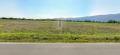Продава Земеделска земя област Пловдив , с. Куртово Конаре , 3 дка | 85154524 — Imoti.com Продава Земеделска земя област Пловдив , с. Куртово Конаре , 3 дка | 85154524