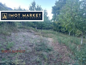 Обява Продава ПАРЦЕЛ,с. Паволче, област Враца