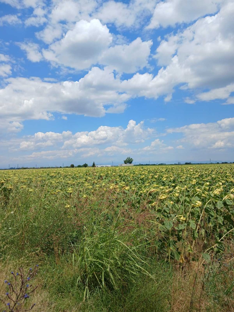 Продава ПАРЦЕЛ, област Пловдив, с. Крумово • 50000 € / 97791.50 лв. • 20660242 1 — Holmes.bg Продава ПАРЦЕЛ, област Пловдив, с. Крумово • 50000 € / 97791.50 лв. • 20660242 1