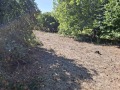 Продава Къща област Варна , с. Николаевка , 110 кв.м | 37173733 — Imoti.com Продава Къща област Варна , с. Николаевка , 110 кв.м | 37173733