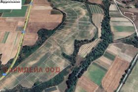 Продажба на земеделски земи в област Хасково - изображение 15 