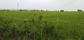 Продажба на земеделски земи в област Бургас - изображение 7 