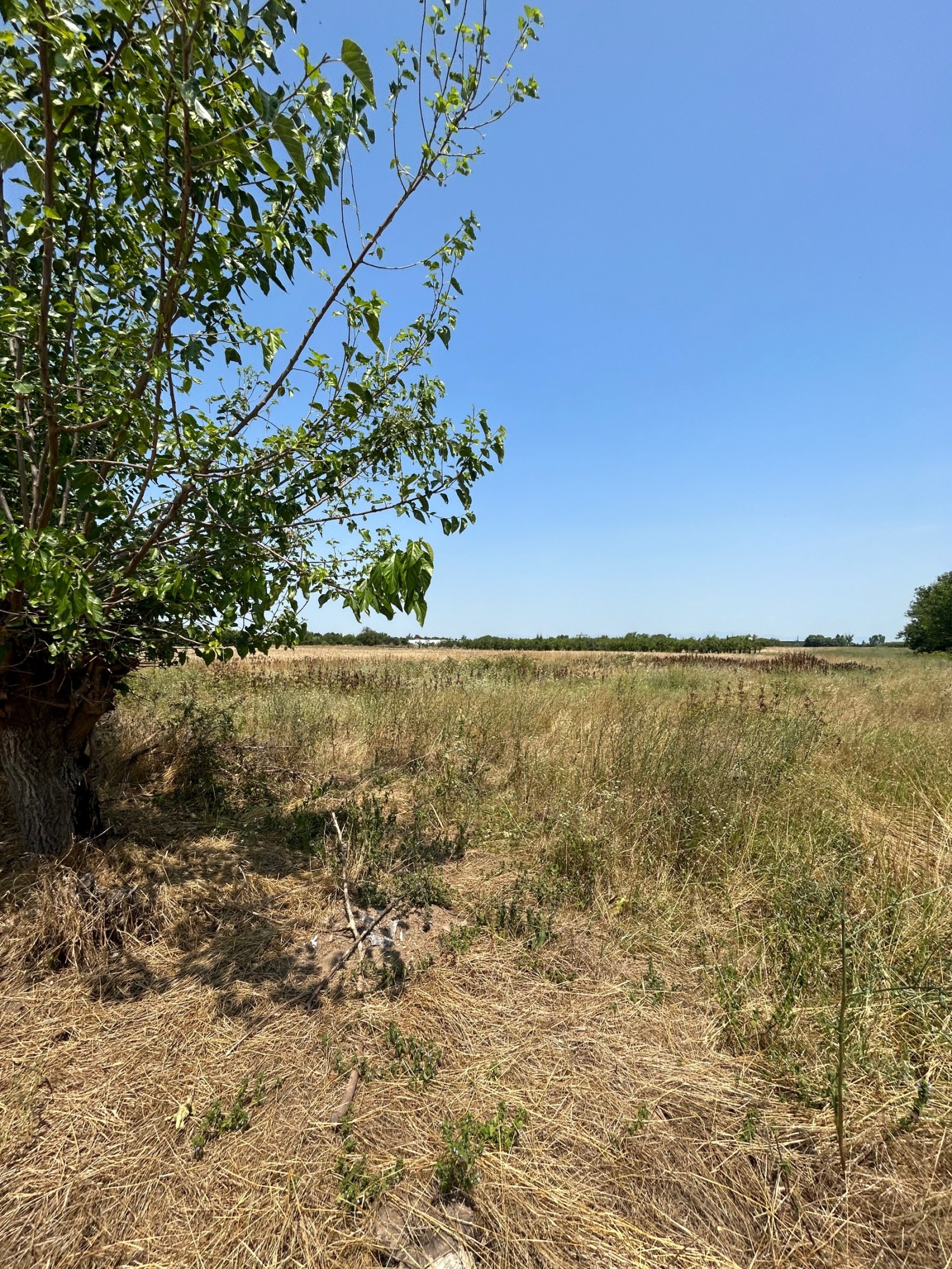 Продава Парцел област Пловдив , с. Цалапица , 3180 кв.м | 27247741 — Imoti.com Продава Парцел област Пловдив , с. Цалапица , 3180 кв.м | 27247741