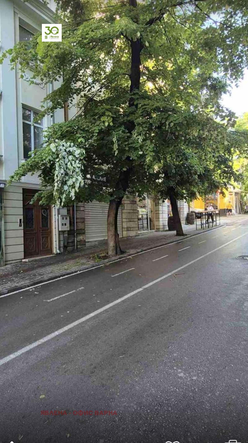 Продава МАГАЗИН, град Варна, Център • 159900 € / 312737.22 лв. • 62020788 1 — Holmes.bg Продава МАГАЗИН, град Варна, Център • 159900 € / 312737.22 лв. • 62020788 1