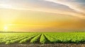 Продава Земеделска земя област Добрич , гр. Каварна , 1 дка | 82864128 — Imoti.com Продава Земеделска земя област Добрич , гр. Каварна , 1 дка | 82864128