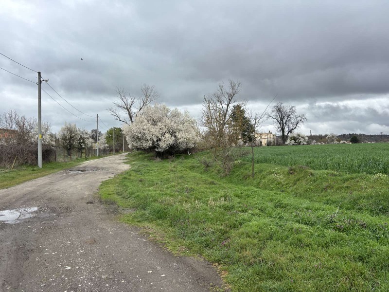 Продава ПАРЦЕЛ, област Пловдив, гр. Баня • 30000 € / 58674.90 лв. • 25881409 1 — Holmes.bg Продава ПАРЦЕЛ, област Пловдив, гр. Баня • 30000 € / 58674.90 лв. • 25881409 1