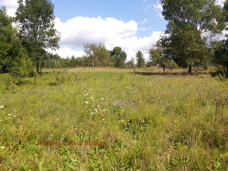 Продава ПАРЦЕЛ, област Ямбол, с. Денница • 4000 € • 16811886 1 — Holmes.bg Продава ПАРЦЕЛ, област Ямбол, с. Денница • 4000 € • 16811886 1