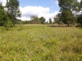 Продава Парцел област Ямбол , с. Денница , 700 кв.м | 85544428 — Imoti.com Продава Парцел област Ямбол , с. Денница , 700 кв.м | 85544428